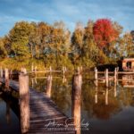 Cabane sur pilotis dans le domaine Robin'Son en Lorraine