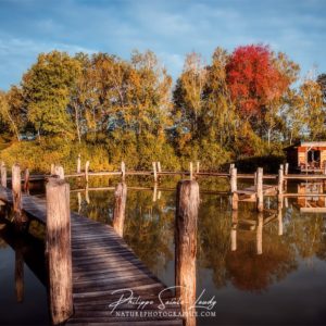 Between Water and Autumn Cabane sur pilotis dans le domaine Robin'Son en Lorraine
