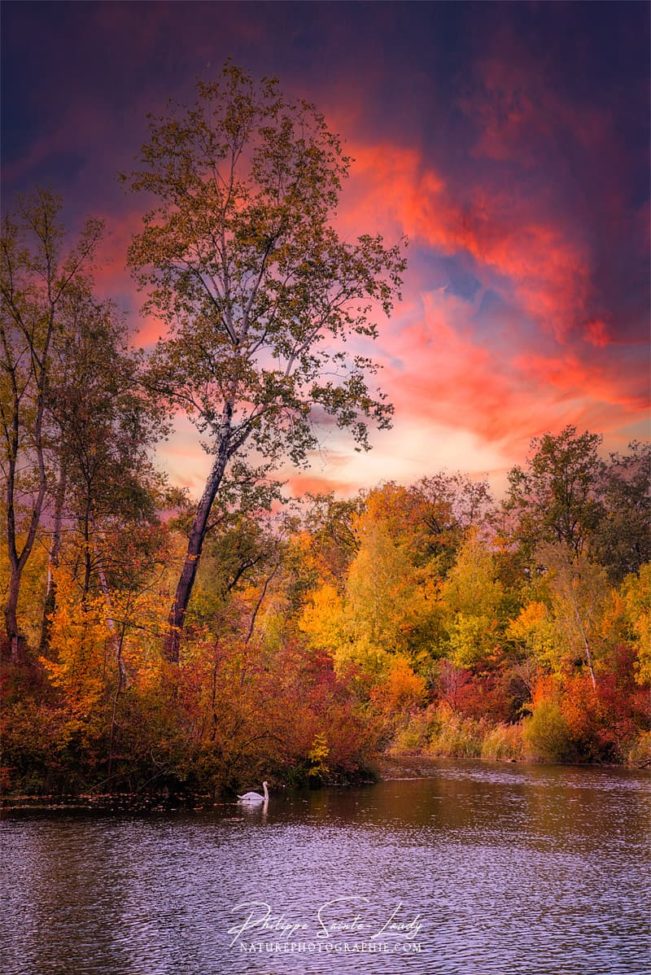 Coucher de soleil automnal