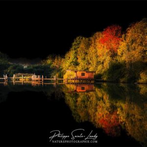 Black Pond Ciel noir et nature en automne