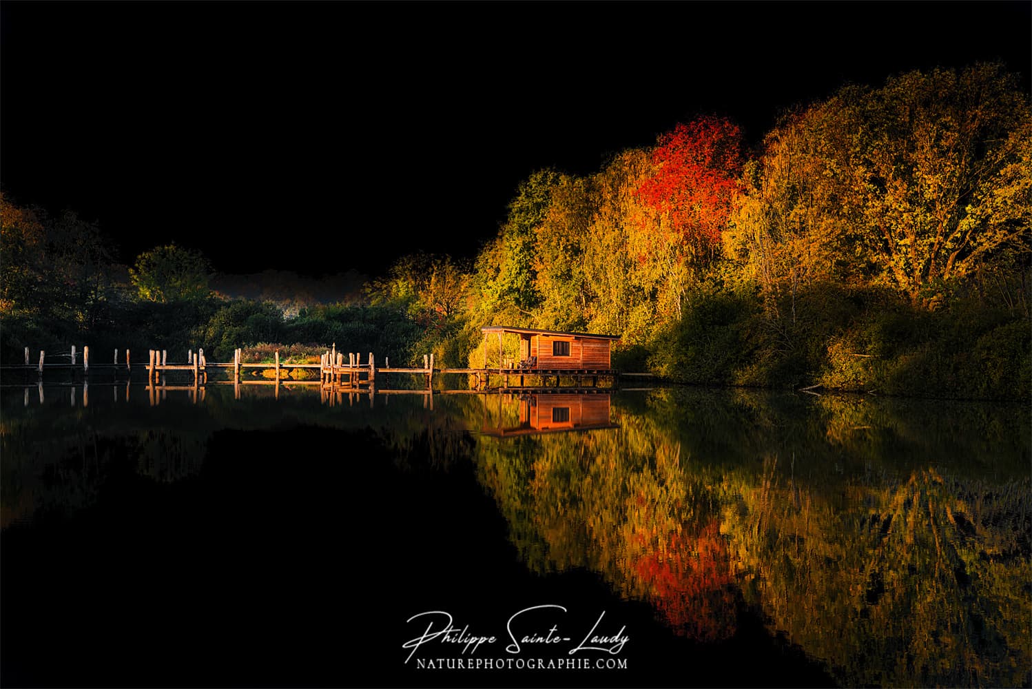 Ciel noir et nature en automne