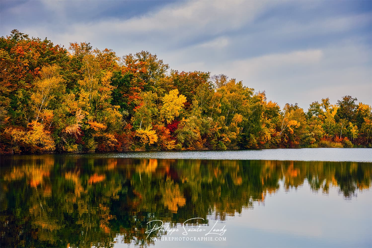 Reflet d'une forêt dans un étang en automne