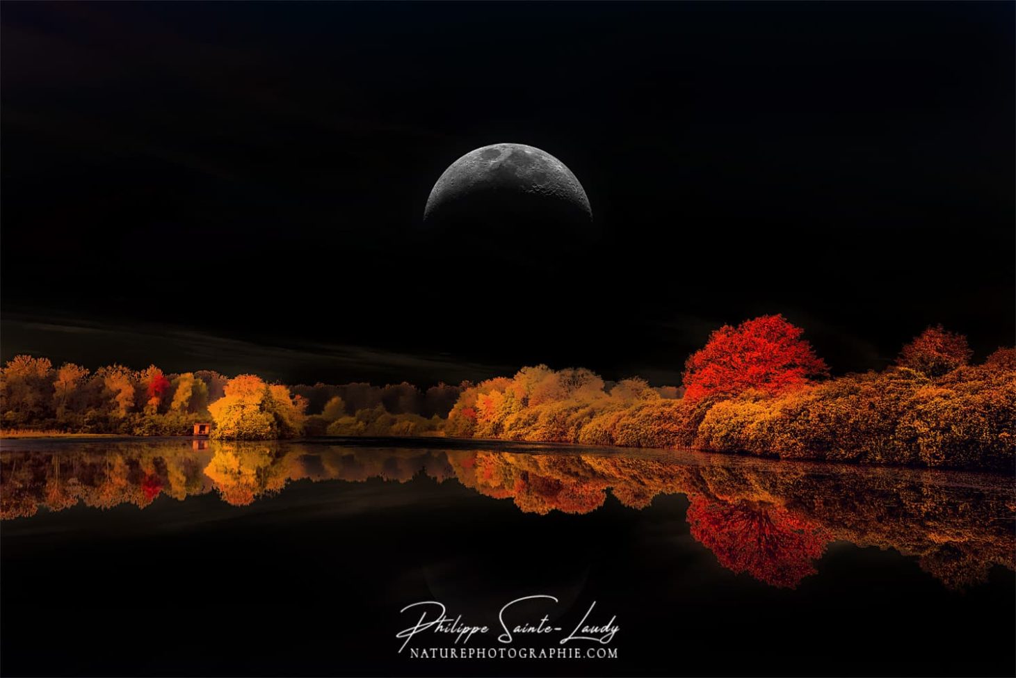 Ciel noir et paysage d'automne