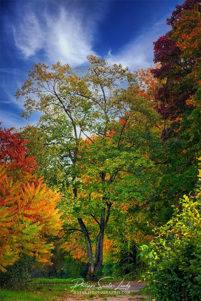 Des couleurs d'automne