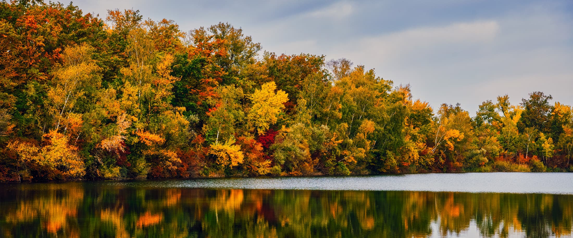Couleurs d'automne en Alsace