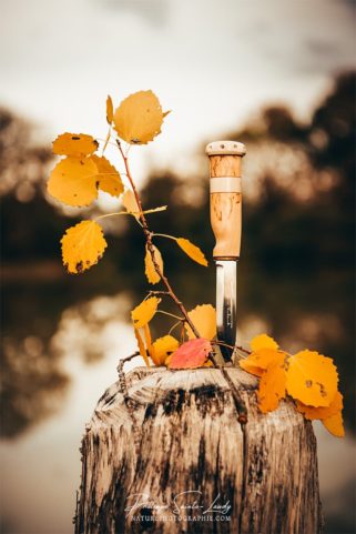 Couteau Marttiini en automne