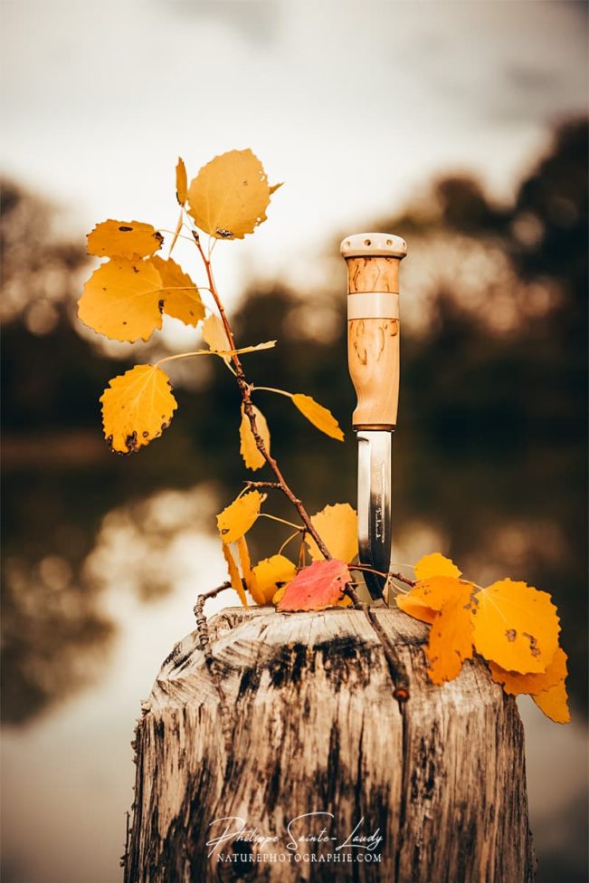 Couteau Marttiini en automne