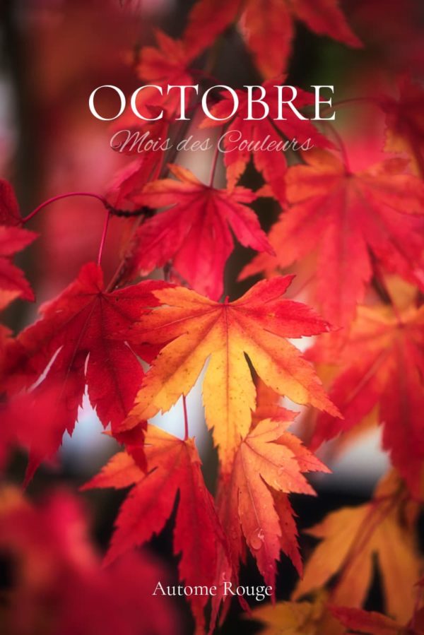 Octobre