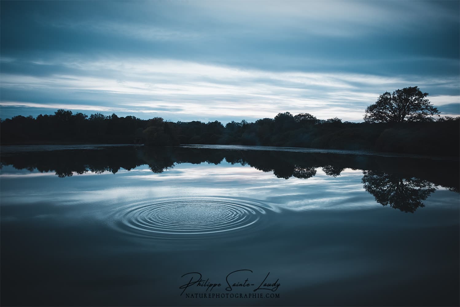 Rond dans l'eau