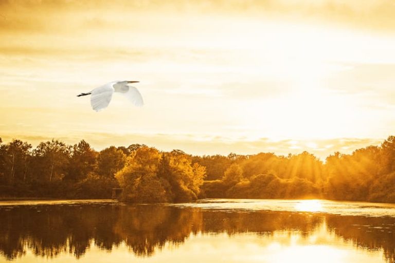 Photos d'automne dans la nature