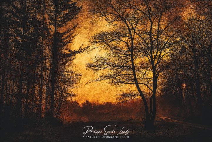 Paysage d'automne avec texture