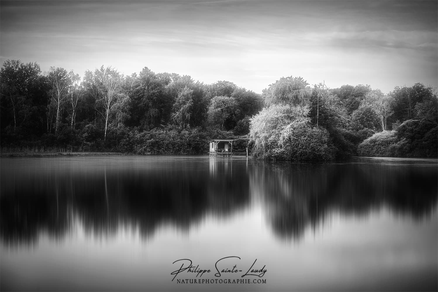 Paysage en noir et blanc d'un lac en automne