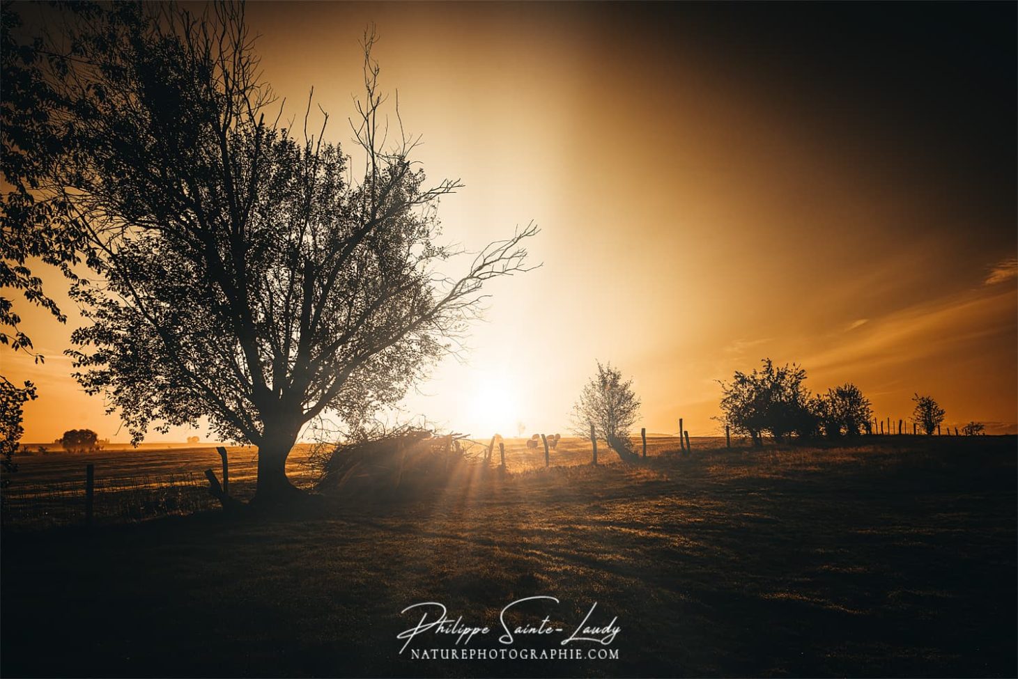 Première lumière du jour sur la campagne Lorraine