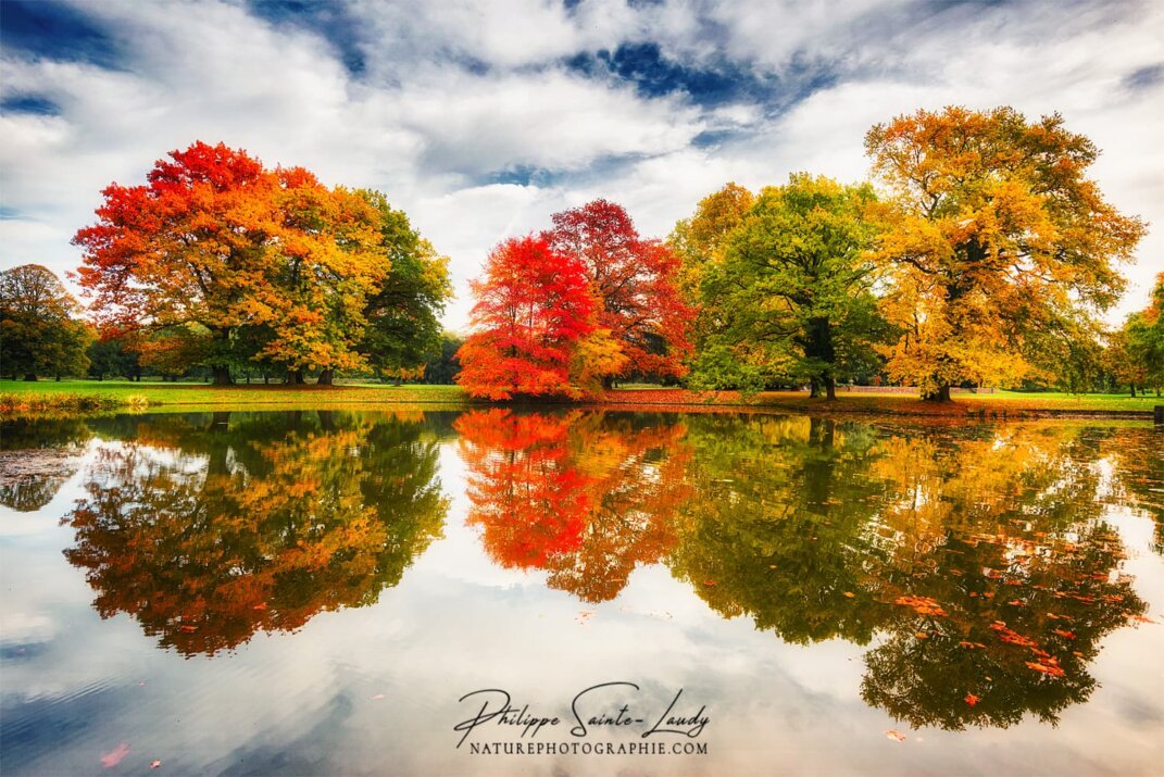 Nature se reflète dans un lac en automne