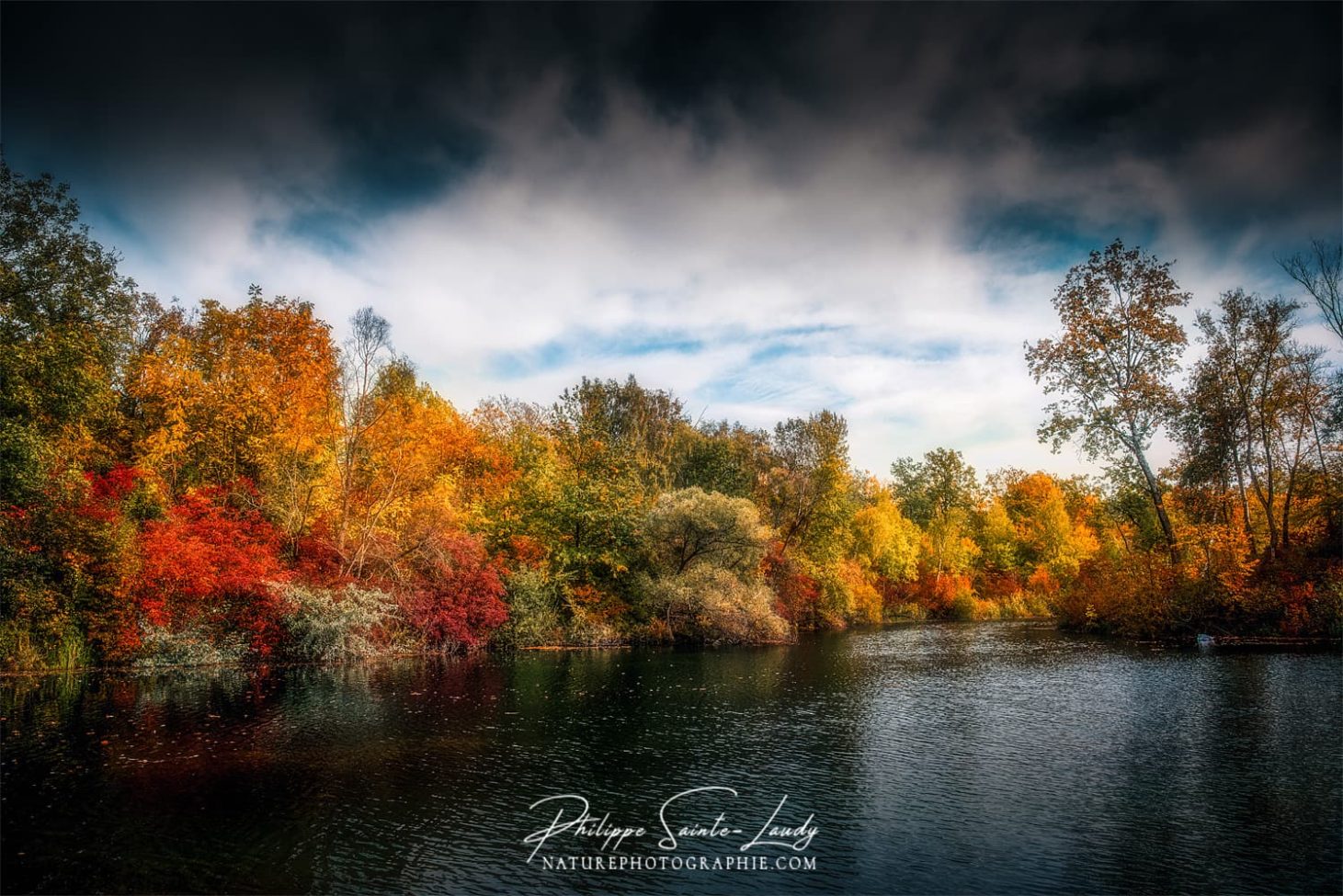 Les couleurs d'une forêt en automne