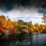 Les couleurs d'une forêt en automne