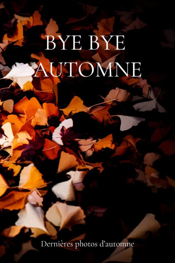 Automne 2020 Automne 2020