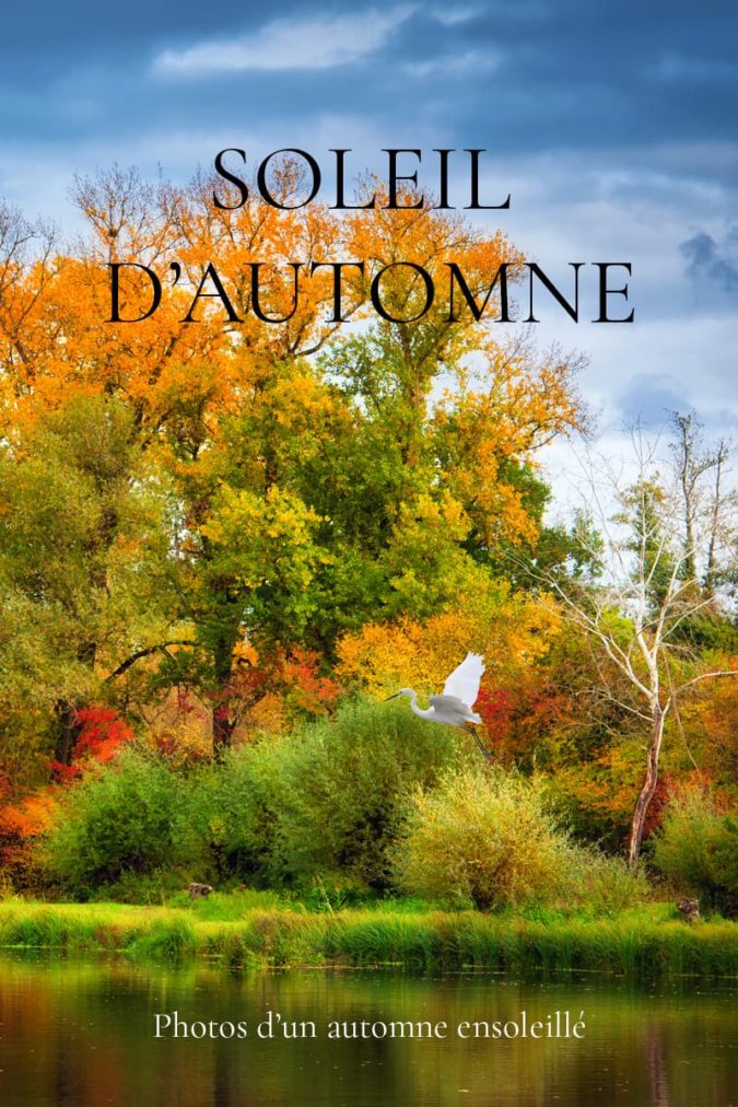 Photos d'un automne ensoleillé