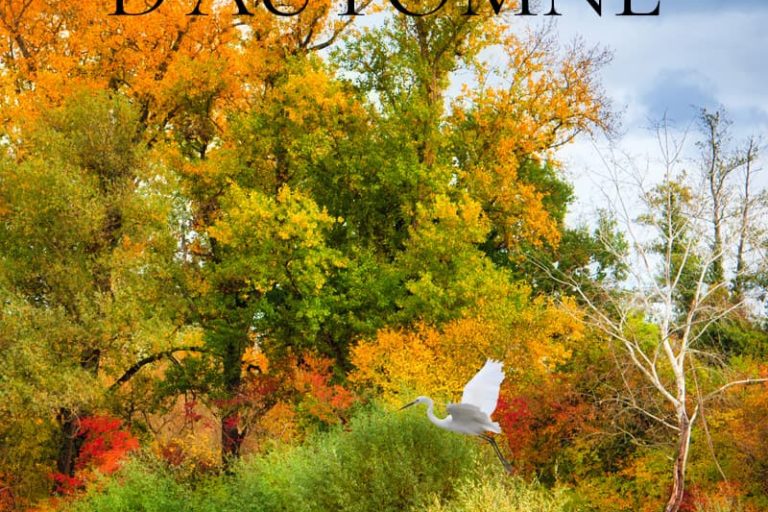 Photos d'un automne ensoleillé