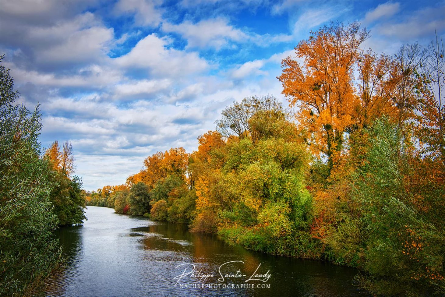 Arbres le long d'un cours d'eau en automne