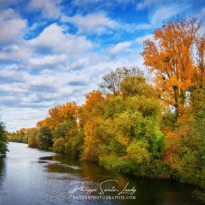 Autumn Current Arbres le long d'un cours d'eau en automne