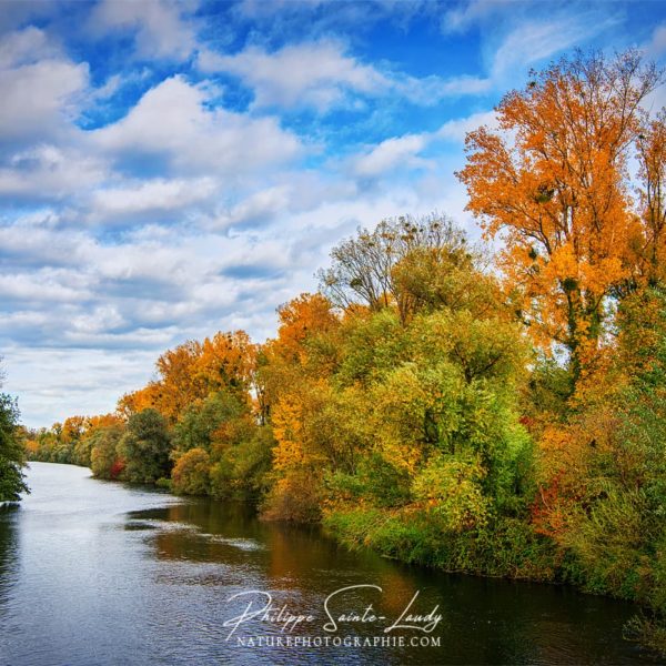 Autumn Current Arbres le long d'un cours d'eau en automne
