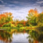 Forêt en automne qui se reflète dans l'eau