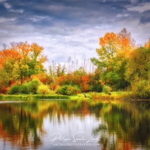 Autumn Star Forêt en automne qui se reflète dans l'eau