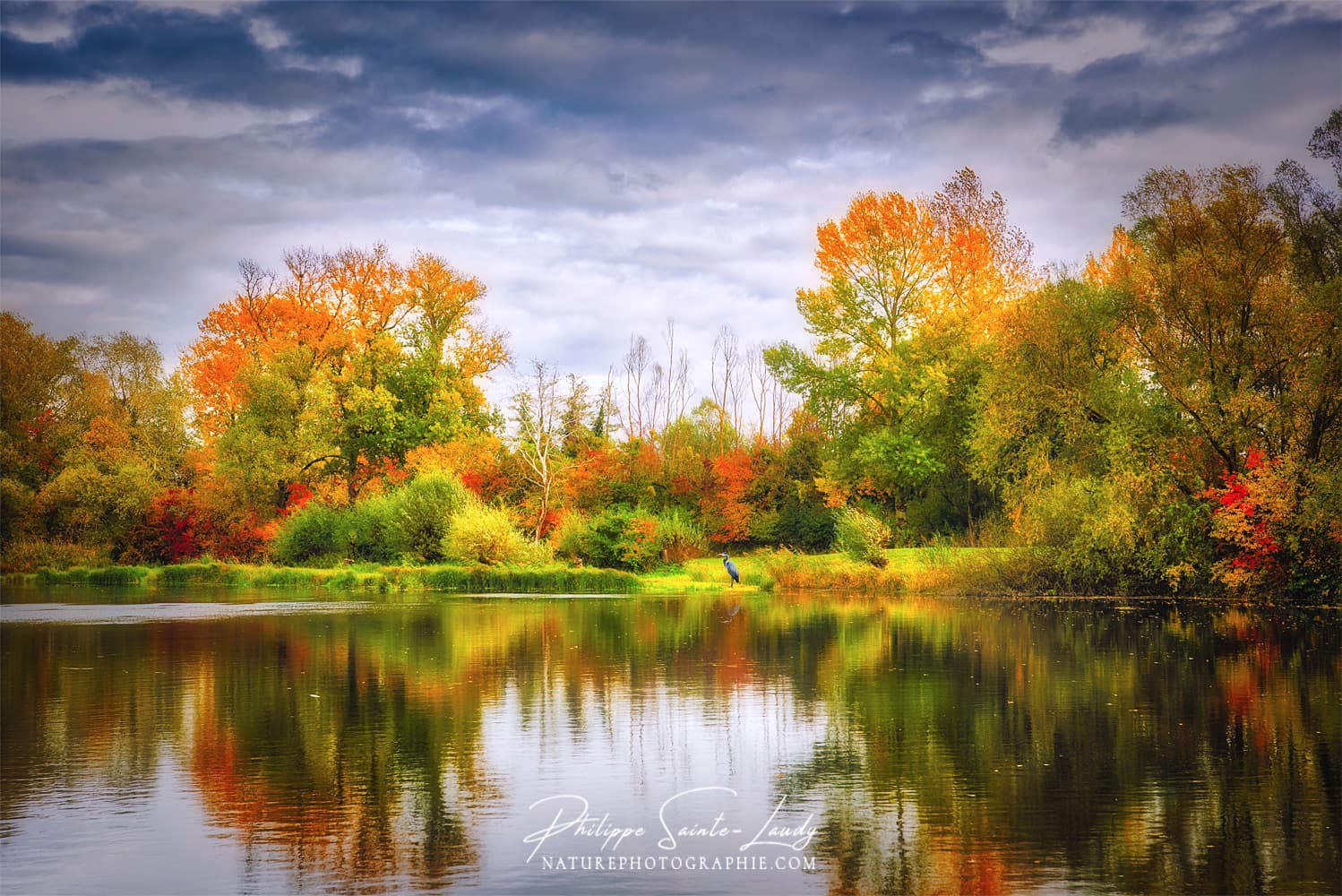 Forêt en automne qui se reflète dans l'eau