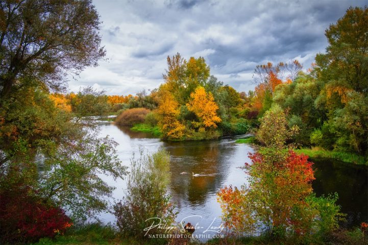 Paysage tranquille en automne