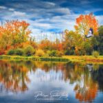 Un héron dans un paysage d'automne