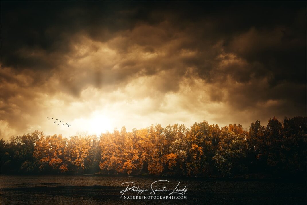 Balade le long du Rhin