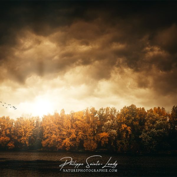 Cloud Catcher Balade le long du Rhin