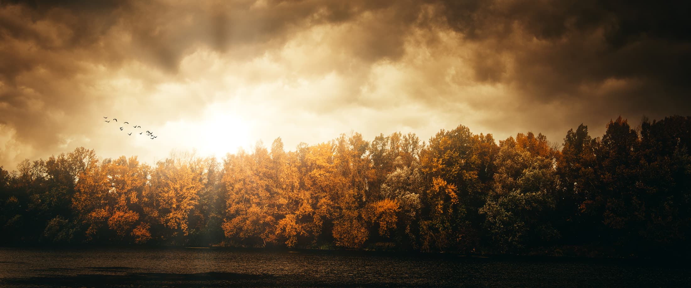 Photos de fin d'automne