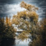 Ambiance dramatique en automne