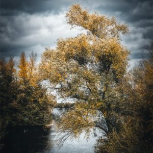 Free Ambiance dramatique en automne