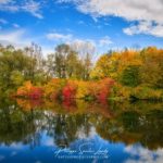 Reflet et nature