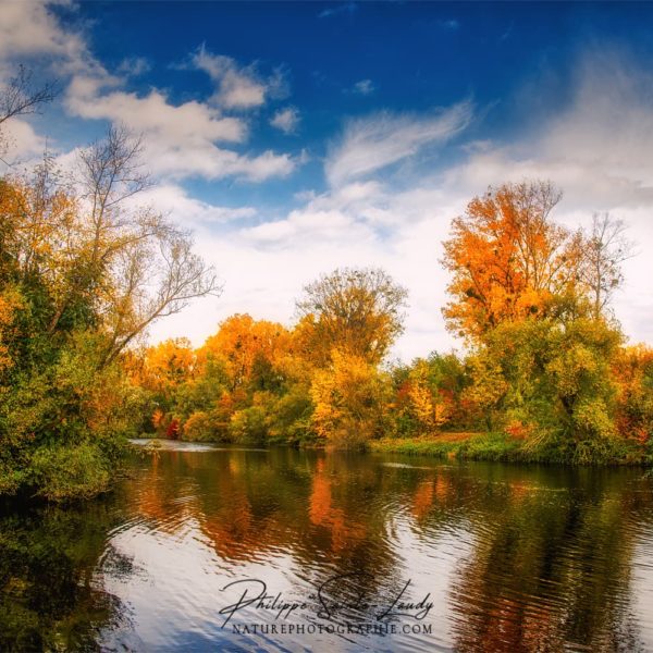 Little Autumn Corner Forêt d'automne le long de l'eau