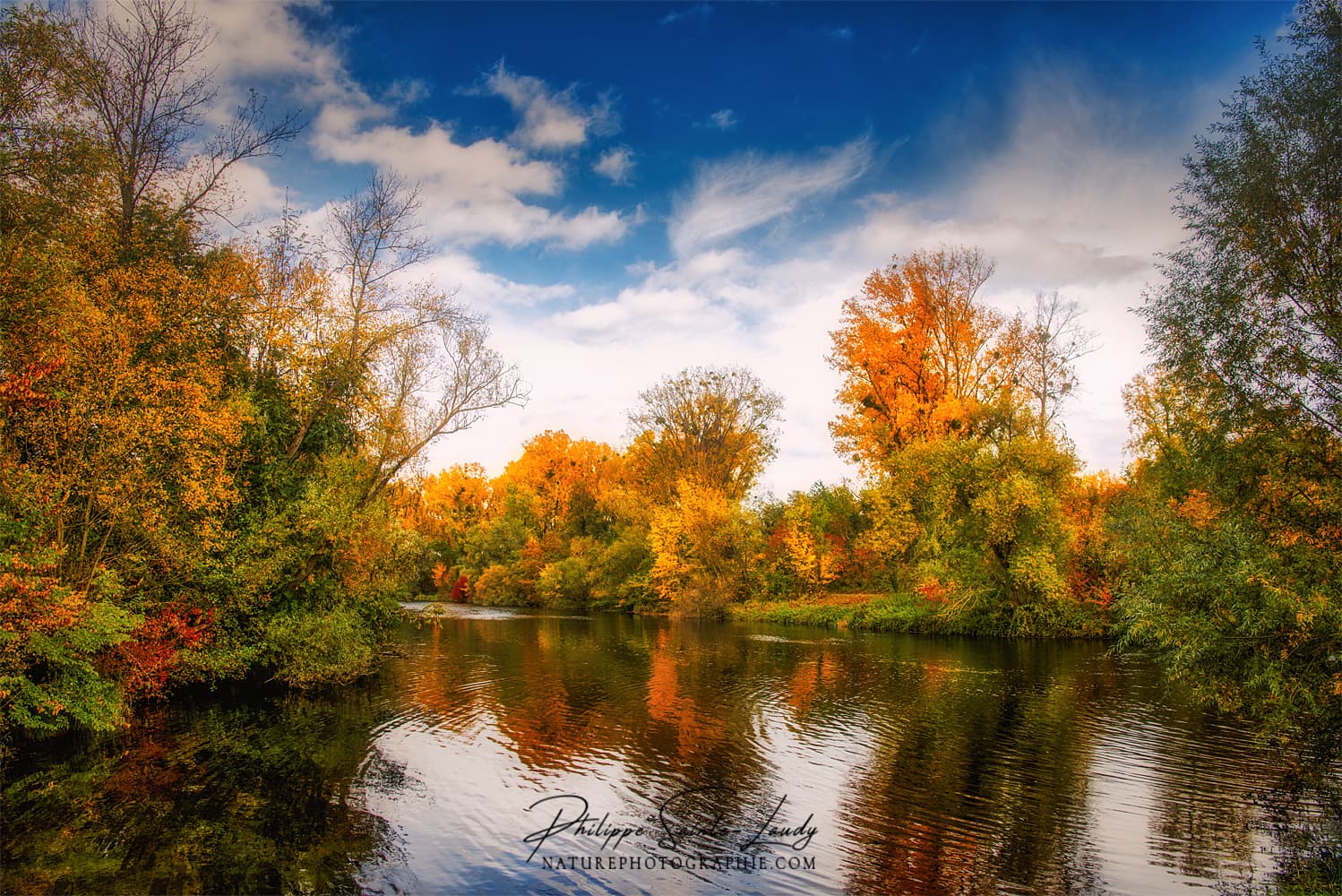 Forêt d'automne le long de l'eau