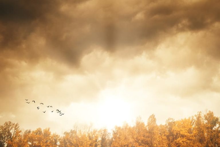 Photographies de fin d’automne Photographies de fin d'automne