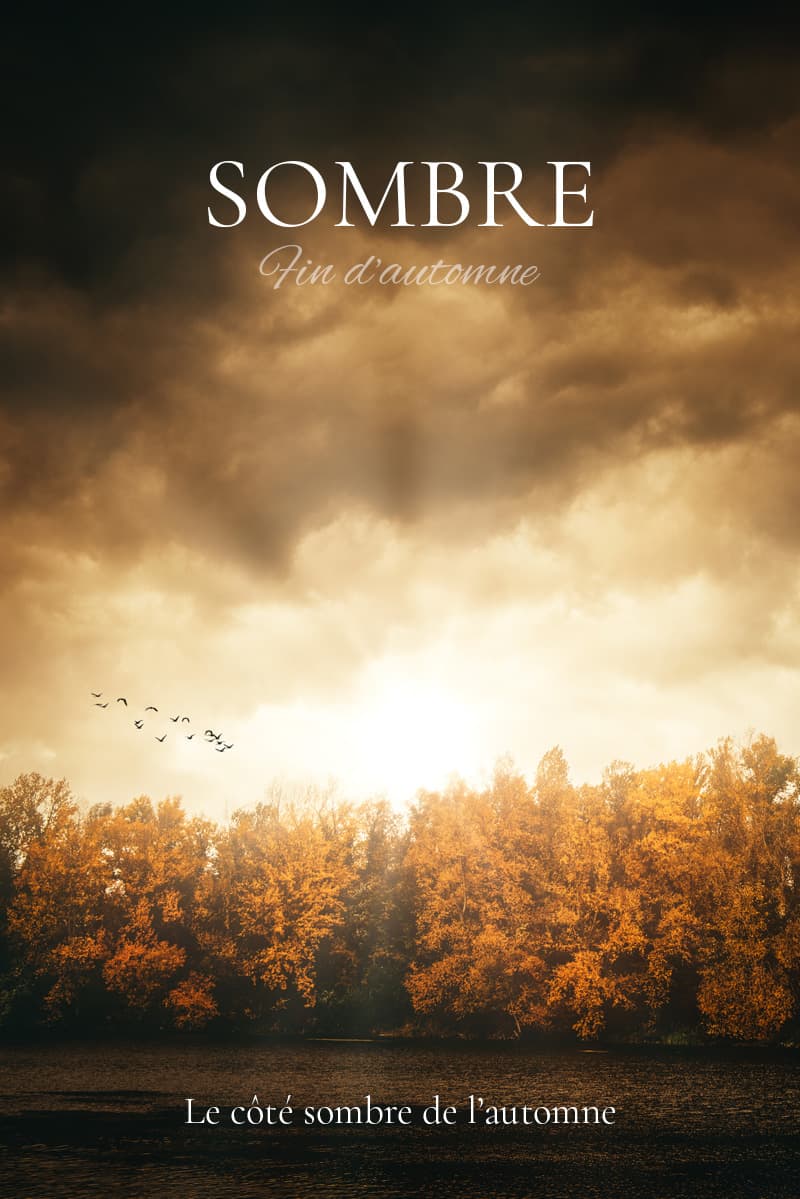 Photographies de fin d'automne
