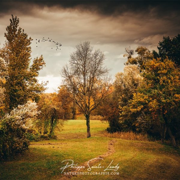 Right Place Wrong Time Petit coin de verdure avant l'orage