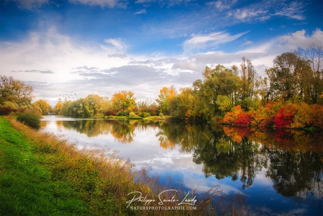 Photo d'automne ensoleillé