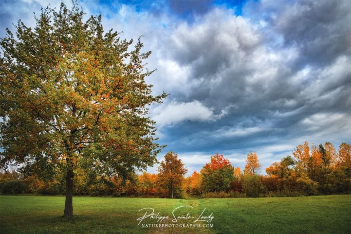 Nature en automne