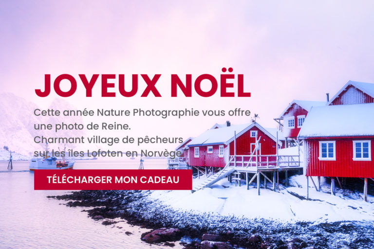 Noël