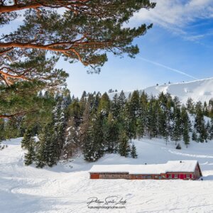 Auberge Gaertlesrain au Lac Vert