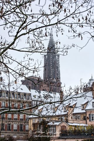 Cathédrale de Strasbourg