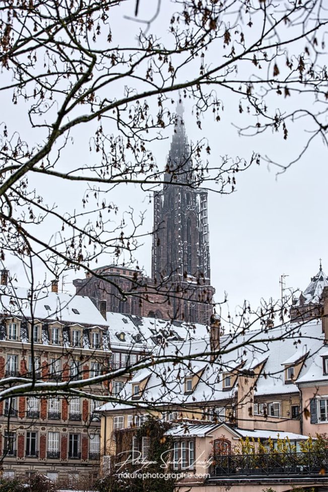 Cathédrale de Strasbourg