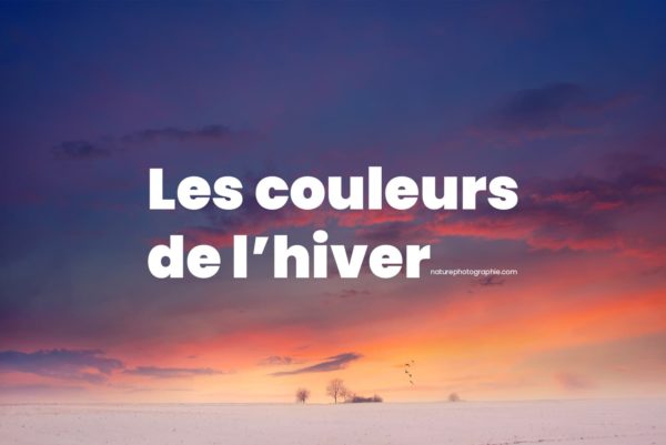 Couchers de soleil en hiver Coucher de soleil sur un paysage en hiver