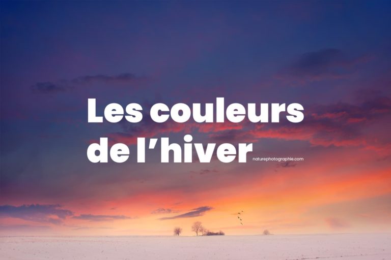 Coucher de soleil sur un paysage en hiver